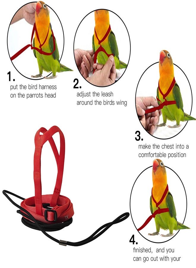 HOKABLE 2 pcs Pet Parrot Bird Harness and Leash, Adjustable Training Design Anti-Bite, Outdoor Flying Training Rope Kit for Bird Parrots Fits Birds Chest Between24-51cm /9.45-20inch - M (red - Image 4